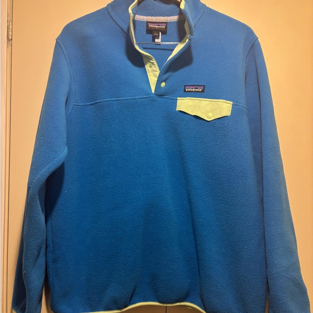 Patagonia Women’s Synchilla Fleece